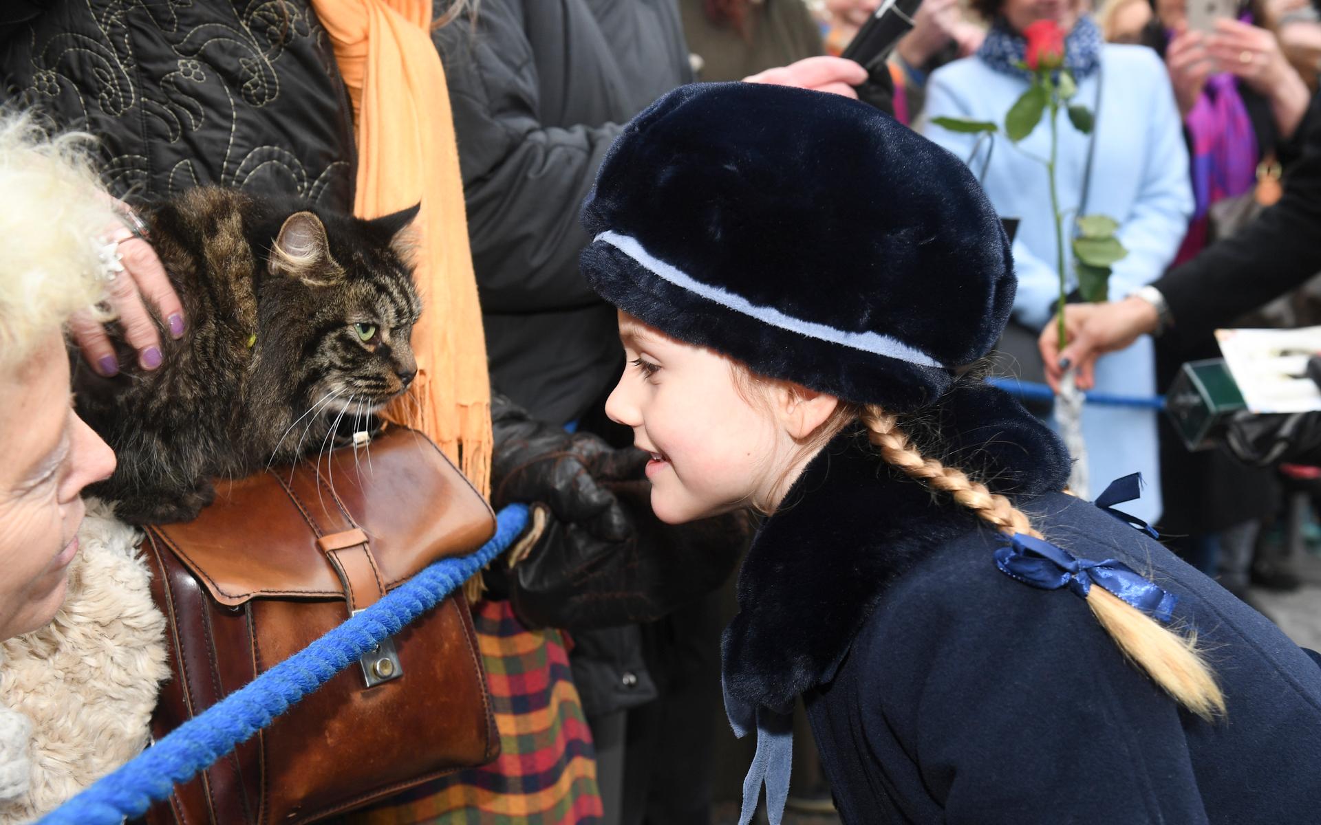 Prinsessan Estelle hälsar på katten Finn Jasper när kronprinsessan Victoria firades av namnsdagsgratulanter på inre borggården på Kungliga slottet.
