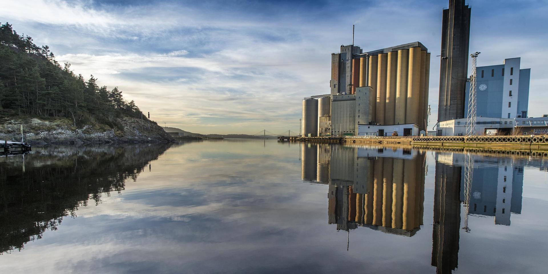 Lantmännens silo på Badökajen i Uddevalla hamn där det kan komma att byggas bostäder i framtiden.