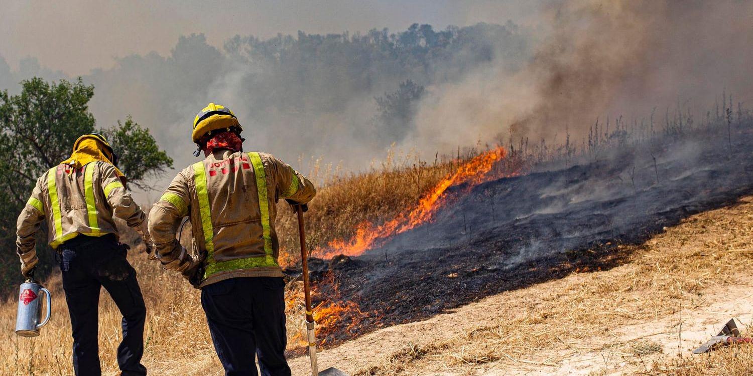 Räddningstjänsten bekämpar en markbrand nära staden Tarragona.