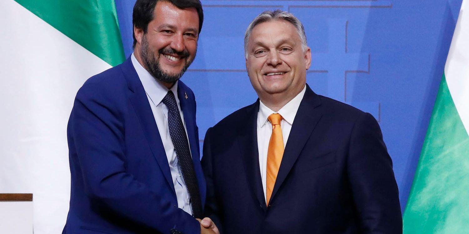 Italiens vice premiärminister Matteo Salvini och Ungerns premiärminister Viktor Orbán.