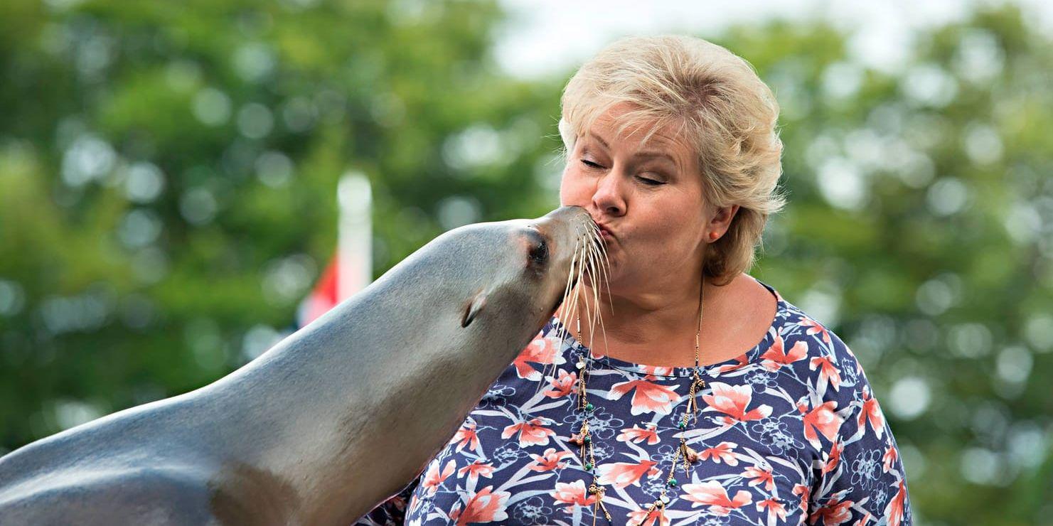 Statsminister Erna Solberg får en puss av ett sjölejon i Bergen. Frågan är om hon är lika populär bland väljarna. Arkivbild.