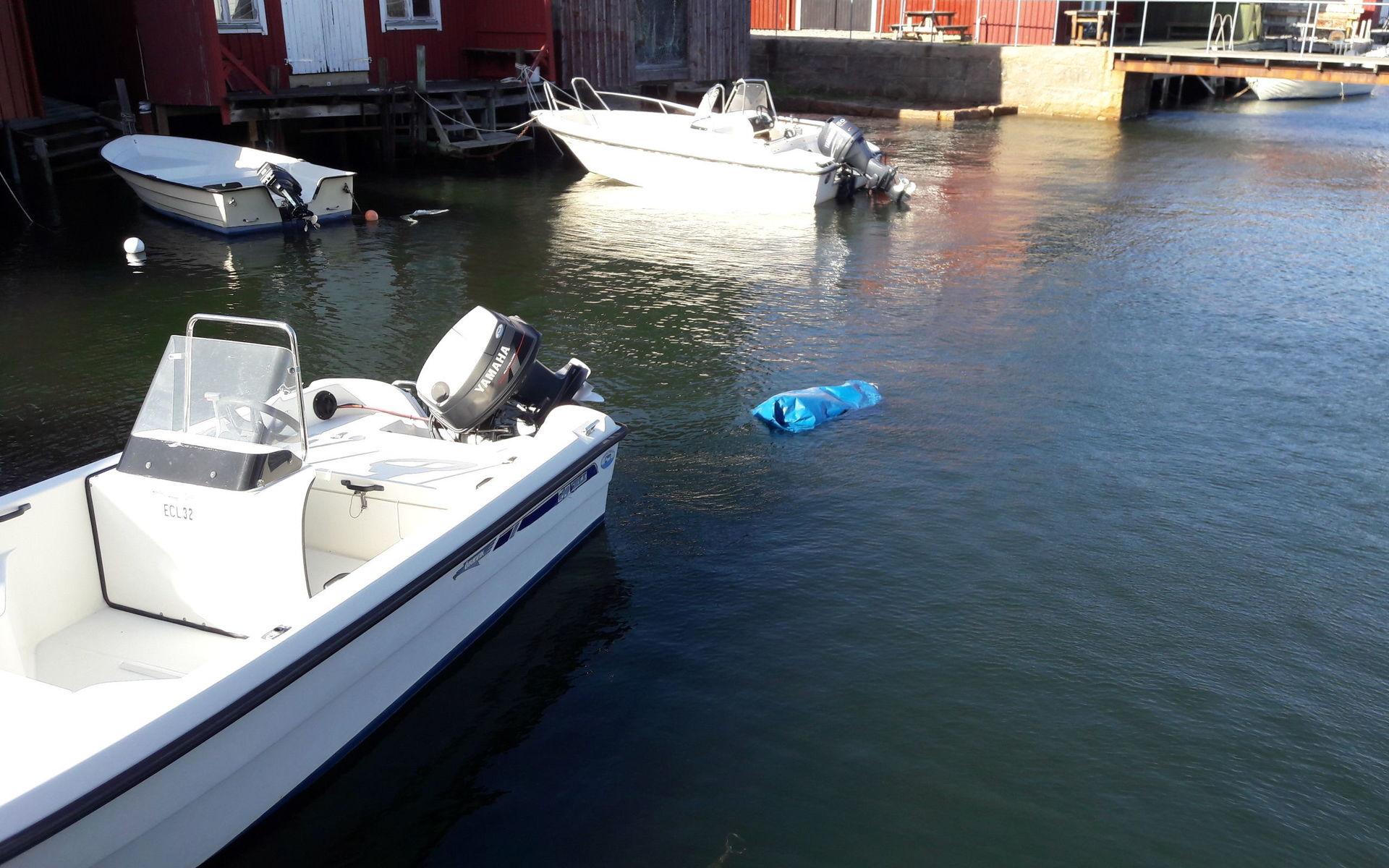 Spännande sommarbild. Vad finns i den blå plastsäcken som flöt omkring i hamnbassängen bakom fiskhallen på Smögen?