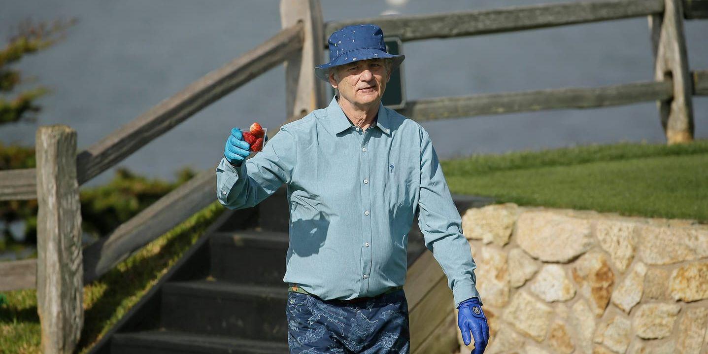 Bill Murray med jordgubbar i hand under tredje dagens spel på golfens PGA-tävling i Pebble Beach.