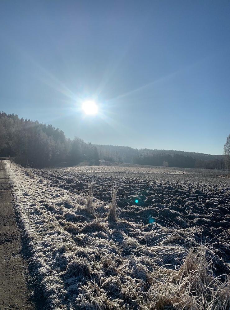 ”Här kommer vinterbilder från Ellenö, bilden är tagen i söndags morse”