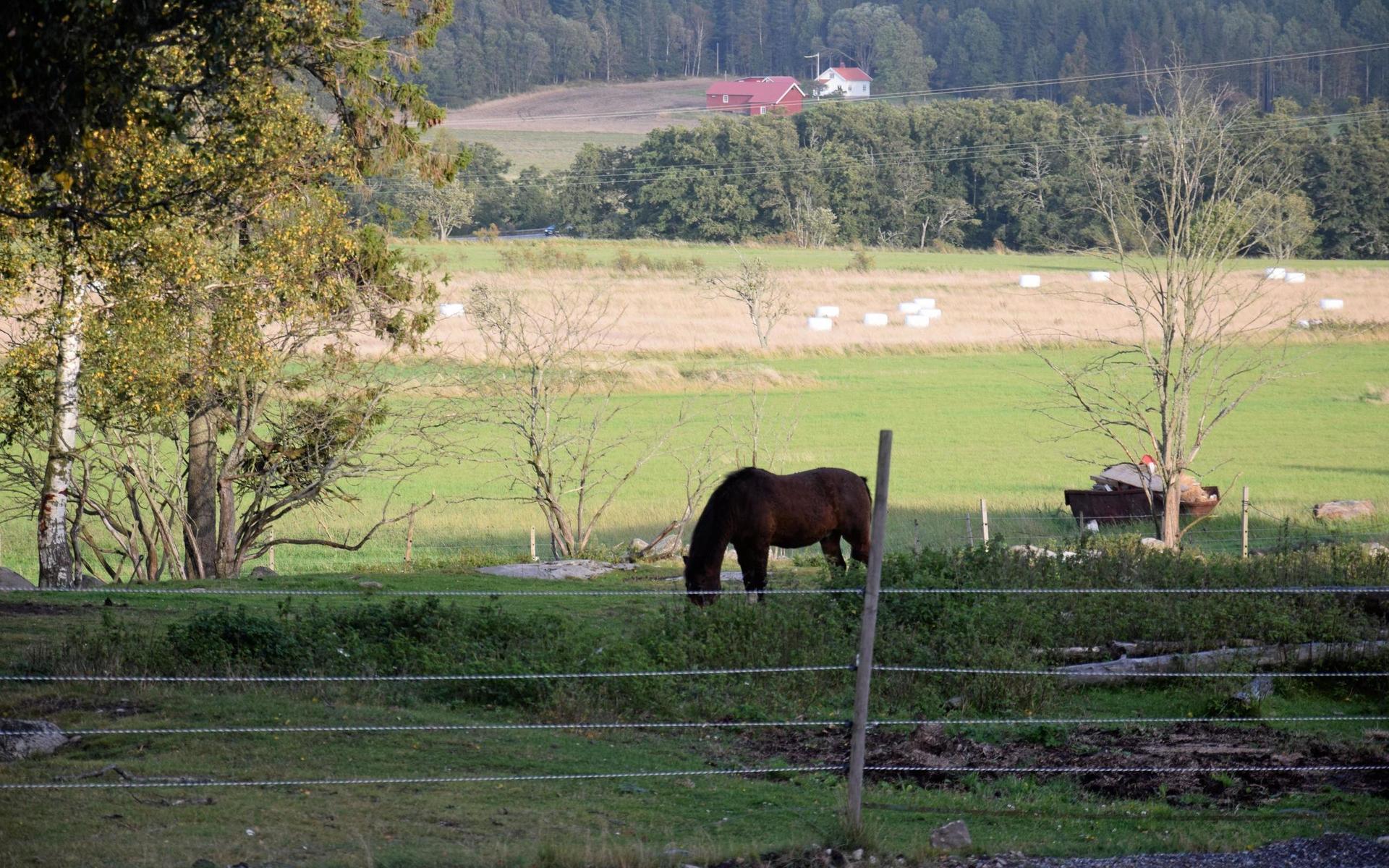 Tanum har flest gårdar och aktiva lantbrukare i Bohuslän.
