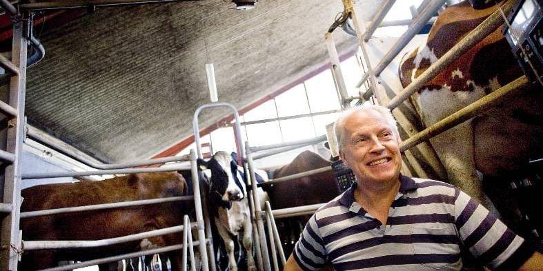Mjölkbonde. Ulf Christiansson i Forshälla är en av Bohusläns alla mjölkbönder. Han har 36 mjölkkor som går på lösdrift. Ulf producerar ekologiskt och varje ko ger i snitt 6 600 kilo mjölk per år.