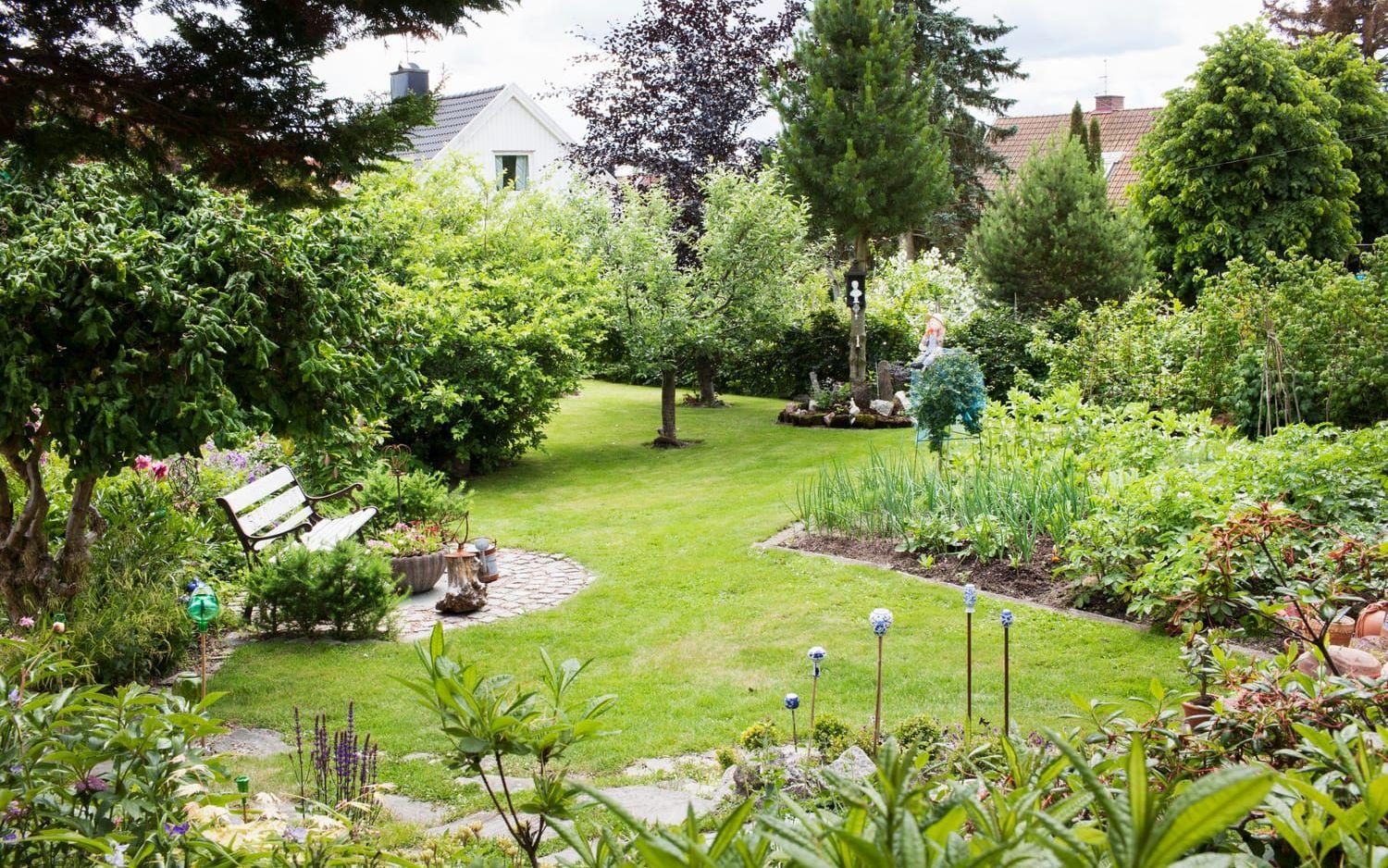 Köksträdgården samsas med parkträd som blodbok, cembratall, uppstammad ormhassel och prydnadsapel. Bilder: Carina Gran