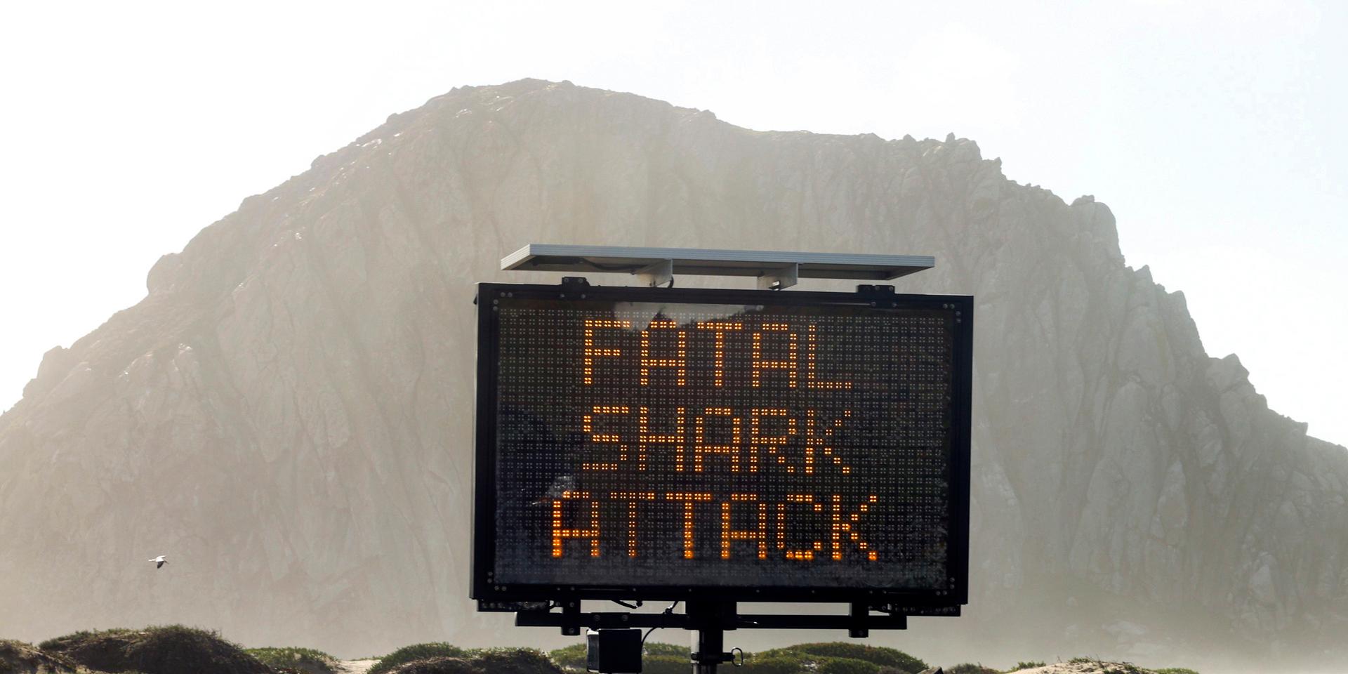 En skylt upplyser om en hajattack med dödlig utgång i Morro Bay i Kalifornien i USA i december förra året.