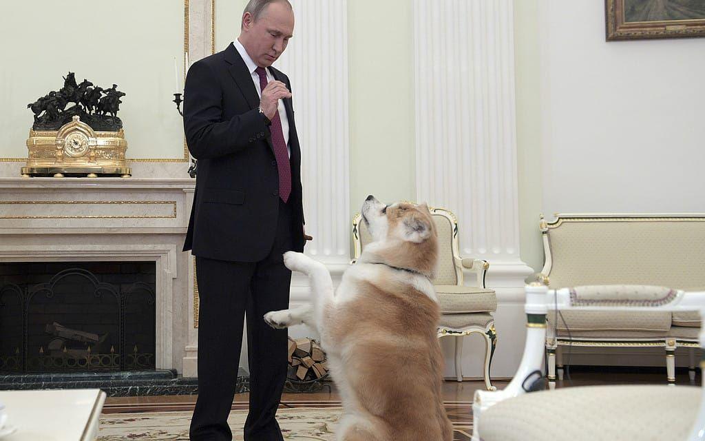 Putin leker med Yume. Bild: TT