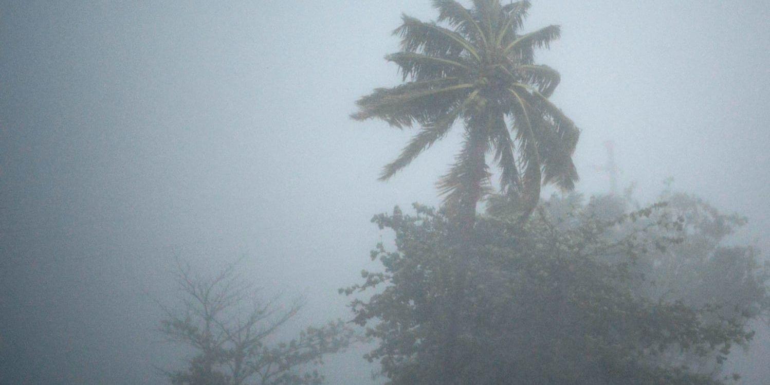 Få nordiska turister befinner sig i Karibien nu när det är orkansäsong och ovädret Irma härjar.