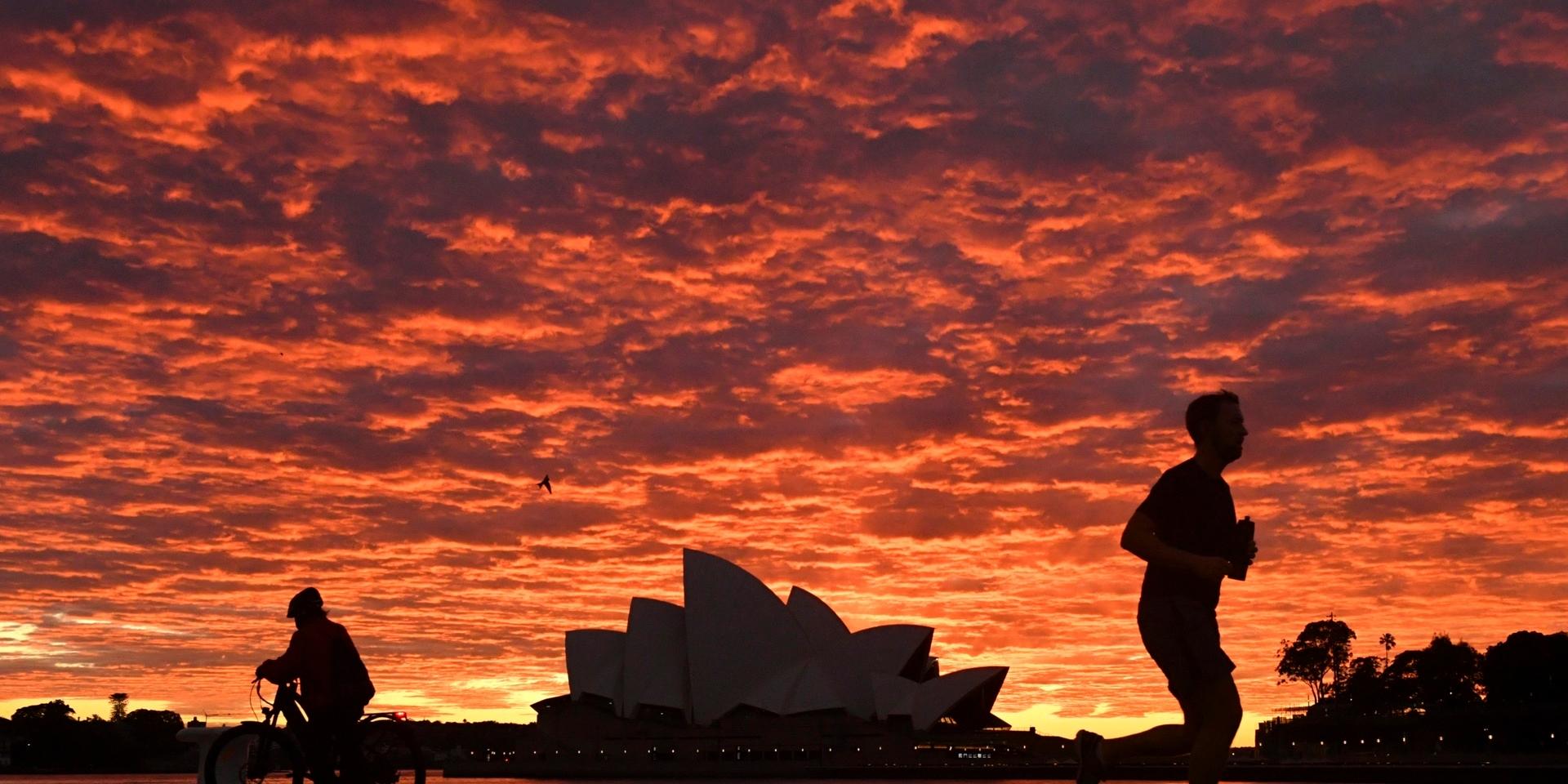 Sydneys berömda Operahus i gryningen. Stadens invånare får endast röra sig utomhus för att motionera eller utföra nödvändiga ärenden.