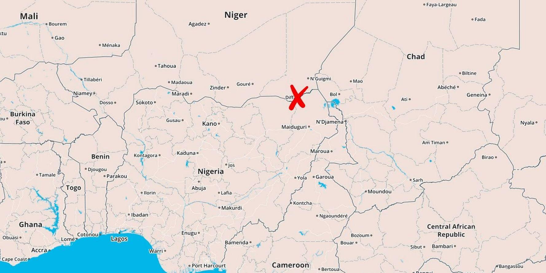 Fyra människor har dödats i en dubbel självmordsattack i Niger.