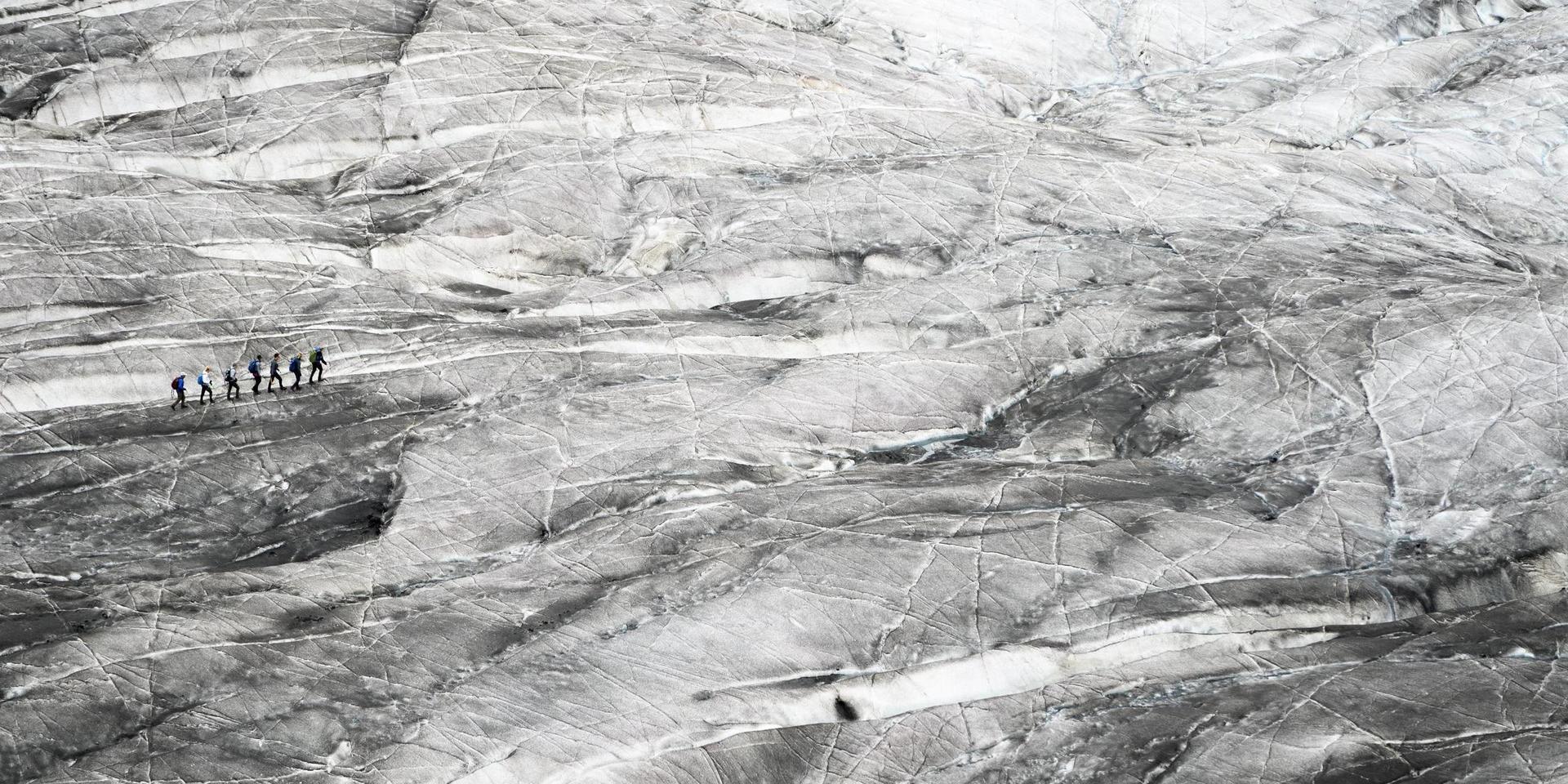 En grupp vandrare korsar Aletschglaciären, en glaciär som krymper allt mer. Arkivbild.