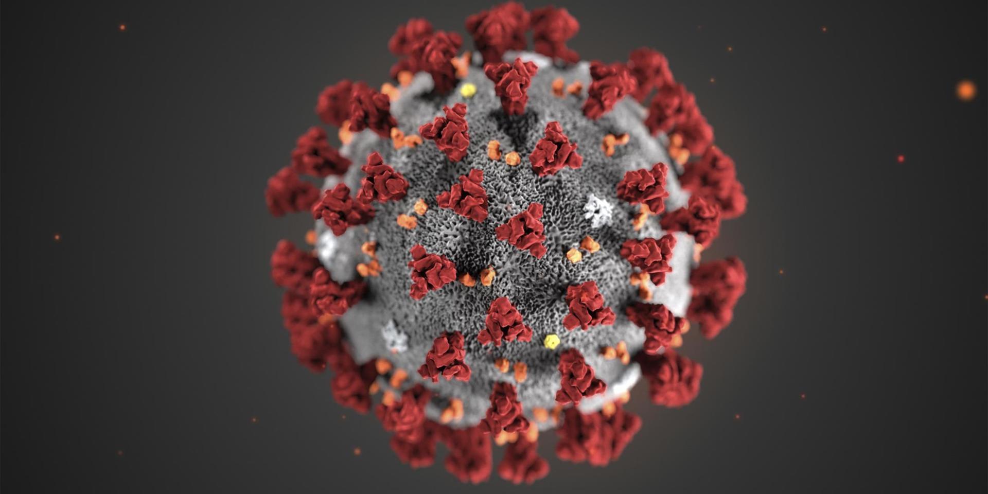 Illustration av det nya coronaviruset, sars-cov-2. 