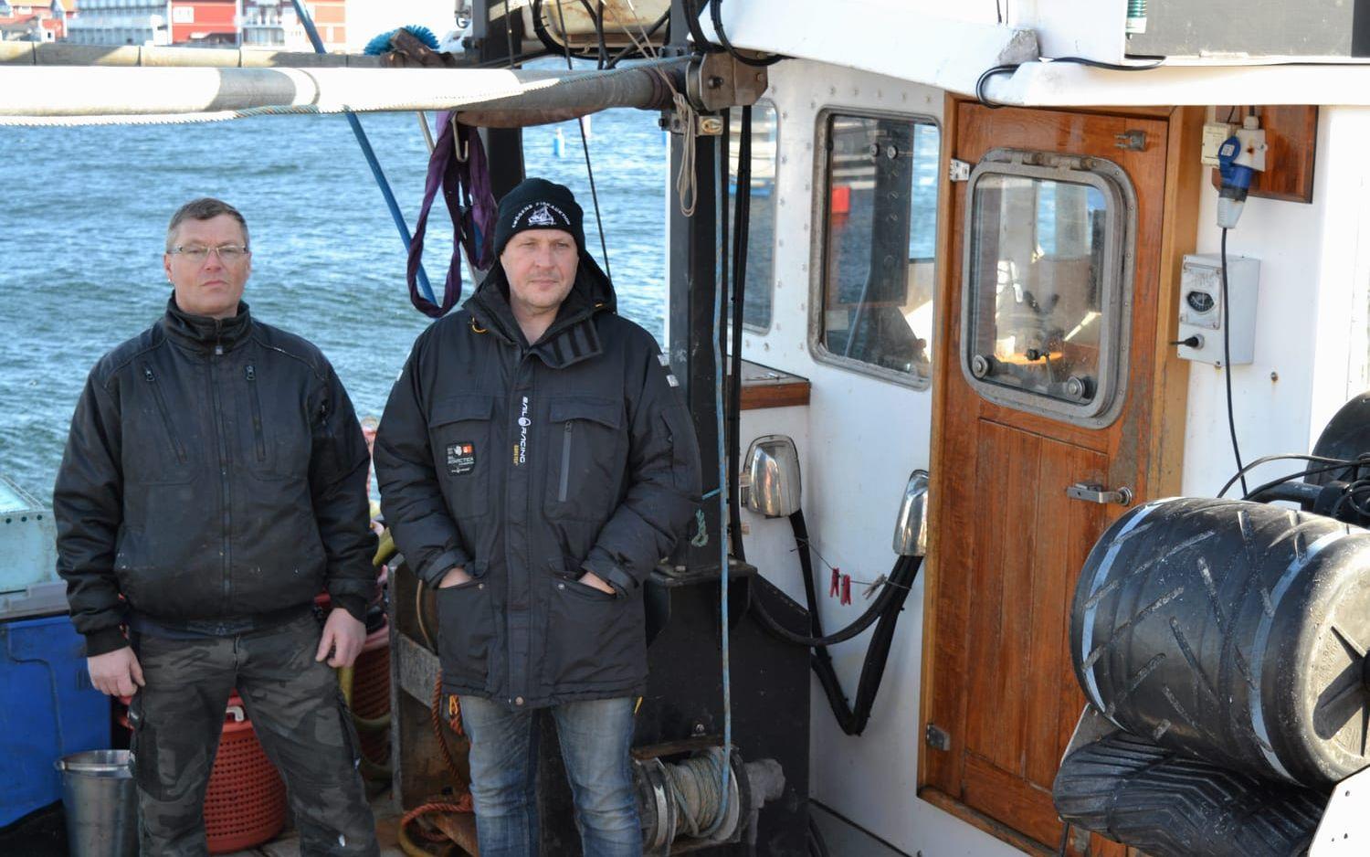 Med rätt fiska totalt 897 kg torsk och 918 kg havskräfta, går det inte att försörja sig och bröderna Berndtzen hoppas myndigheterna kan rädda dem. Foto: Ulf Blomgren
