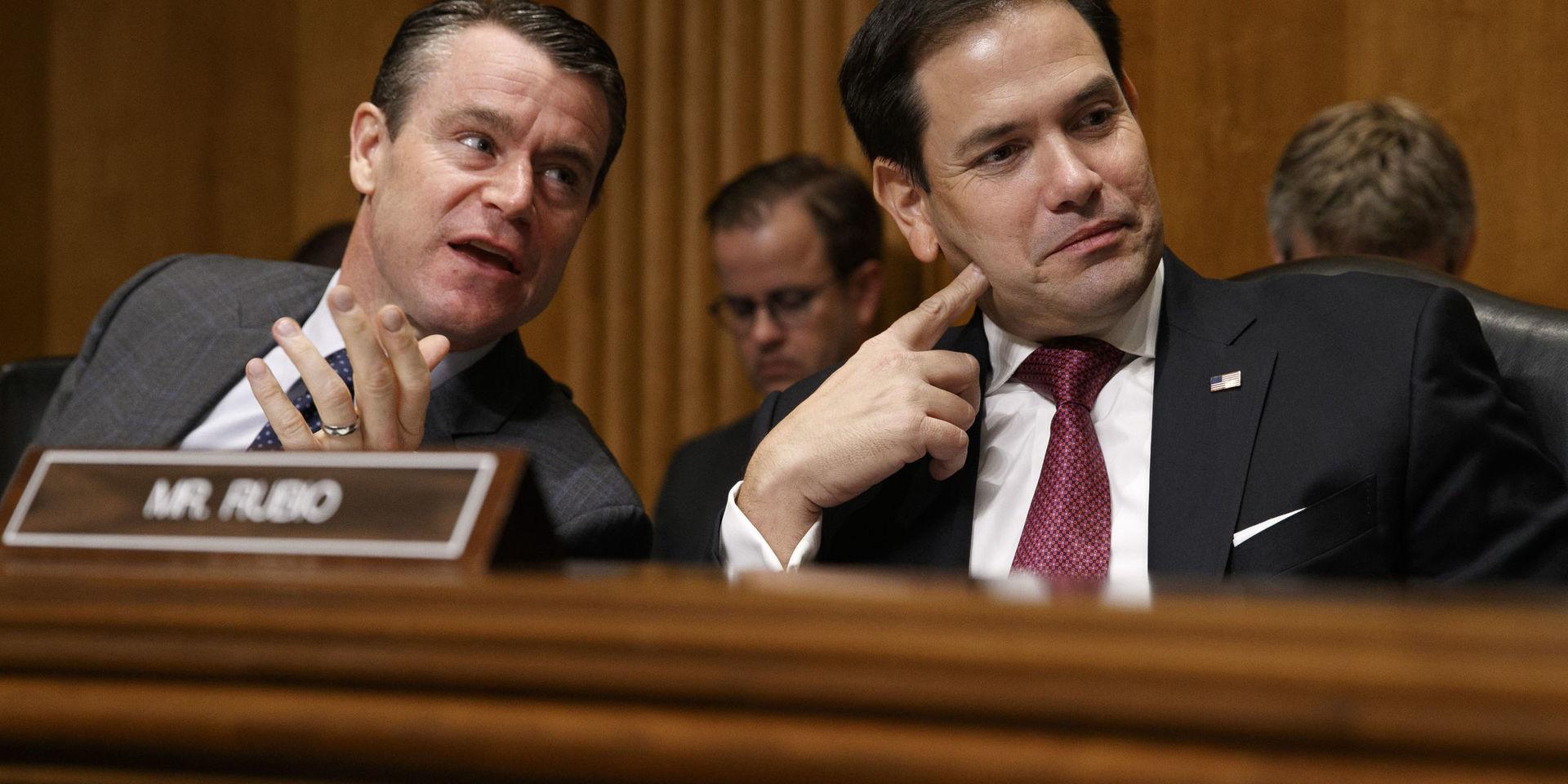 De republikanska senatorerna Todd Young och Marco Rubio vid tisdagens debatt om Hongkong i USA:s senat. 