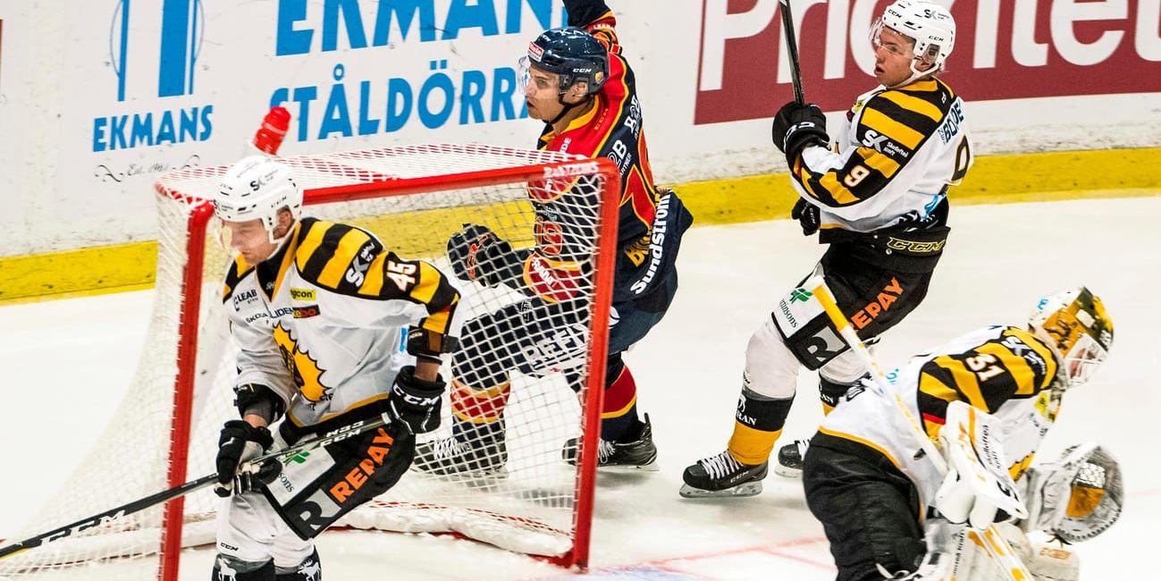 Djurgårdens René Bourque jublar efter sitt mål i 4–2-segern mot Skellefteå, hans fjärde fullträff sedan ankomsten från NHL.