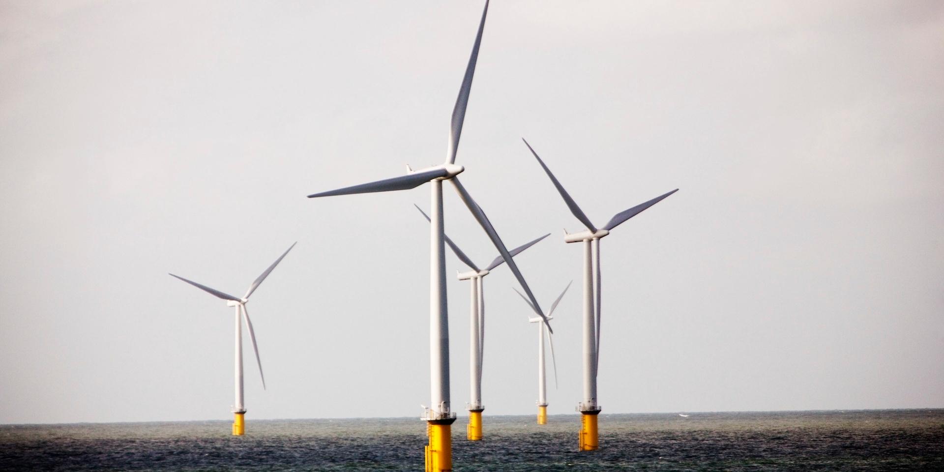 Some of the wind turbines which make up part of one of the world world's biggest offshore wind farm operated by Dong Enegry is seen in the North Sea, 19 miles (30 kilometers) west of Denmark's Jutland peninsula, Thursday, Sept. 17, 2009.  Denmark's Crown Prince Frederik, flipped a switch Thursday to start 91 wind turbines in the North Sea,which operator Dong Energy says has a production capacity of 209 megawatts, enough to power 200,000 homes.  Denmark, a pioneer in wind energy, has six other offshore wind farms. (AP Photo/Jasper Carlberg/POLFOTO) **DENMARK OUT**