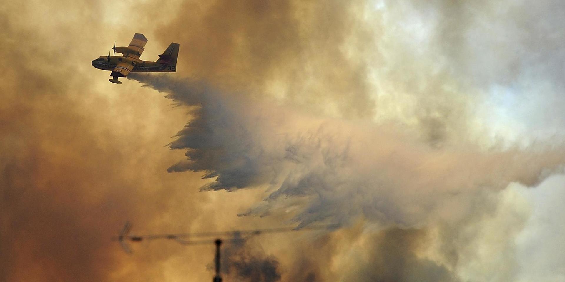 Arkivbild från skogsbränderna i Portugal 2017, vilka var de värsta som man har registrerat i landet. 