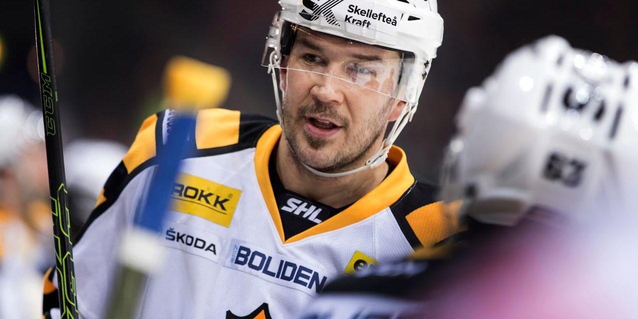 Jimmie Ericsson gör comeback på isen. 37-åringen har skrivit på för SK Lejon i hockeyettan. Arkivbild.