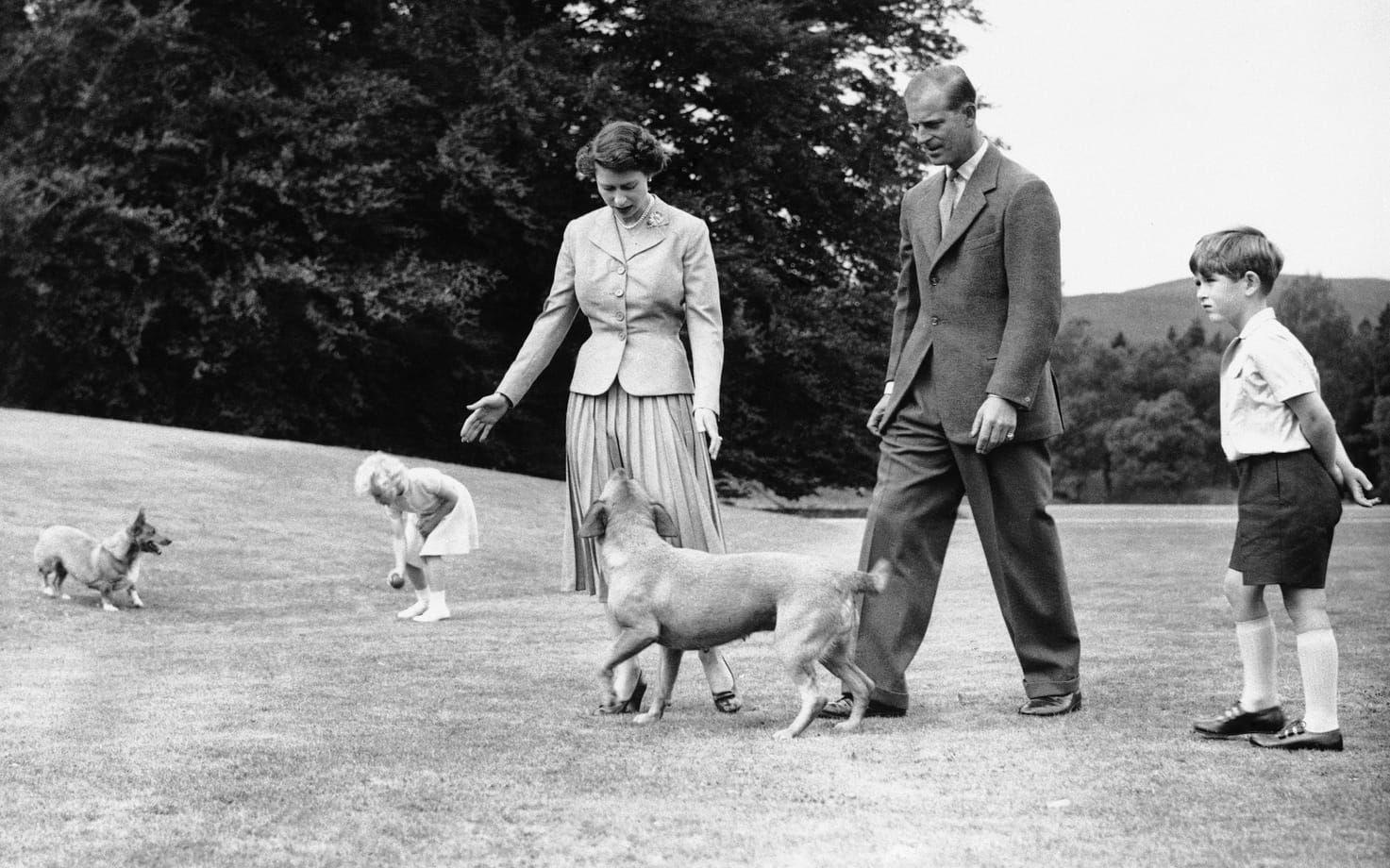 Kungafamiljen har spenderat många somrar i Scottland vid slottet Balmoral. Det gjorde man även sommaren 1955. Här är drottning Elizabeth tillsammans med prins Charles, prins Philip och prinsessan Ann. Här tillsammans med familjens hundar. 