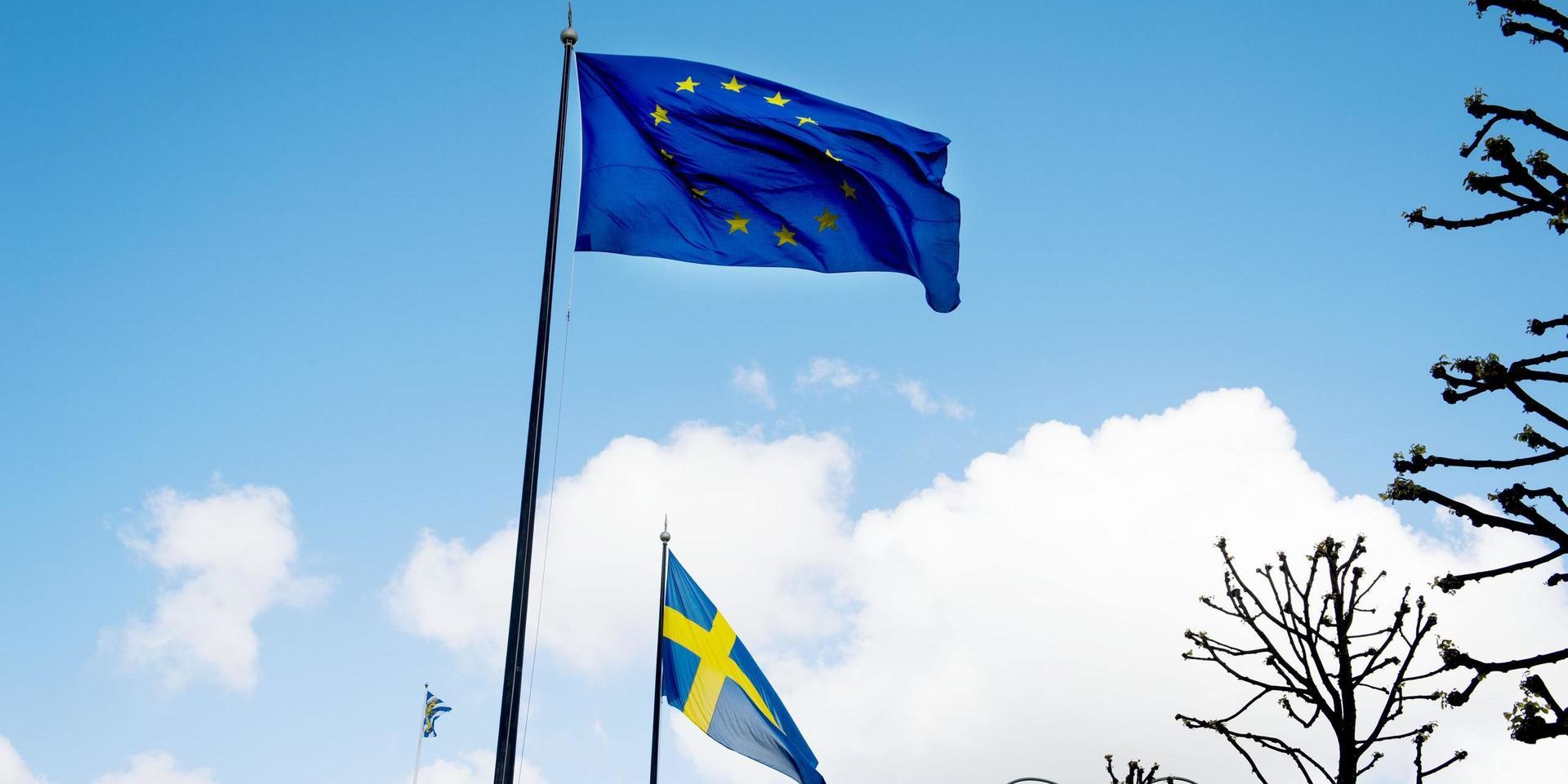 ”Nu är det upp till de övriga partierna att en gång för alla förklara varför man bland annat anser att en avgift på 45 miljarder kronor per år är berättigad”, skriver Peter Lundgren och Matheus Enholm, Sverigedemokraterna.