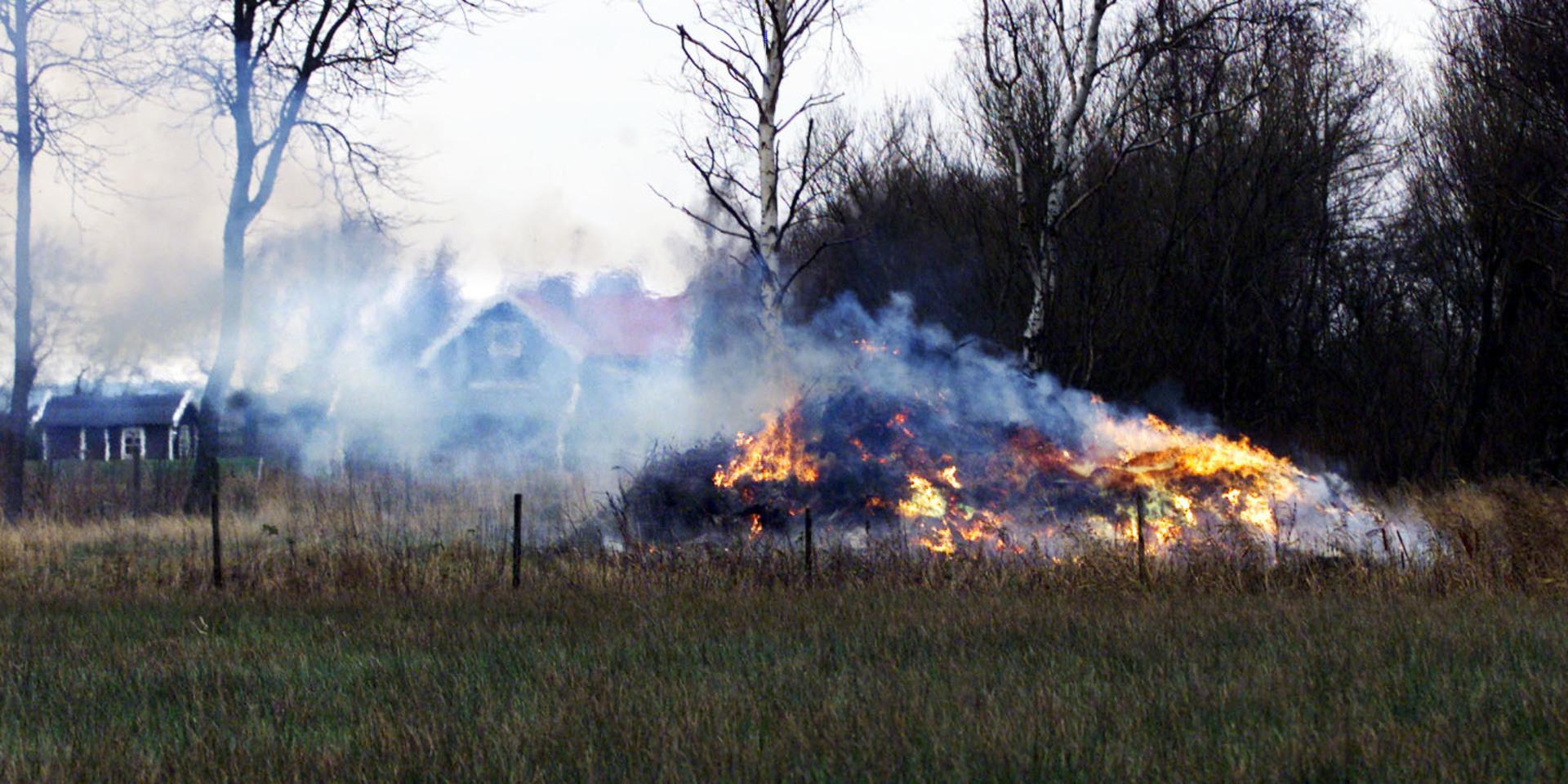 Nu på våren är det vanligt att många eldar på sina gräsmattor.