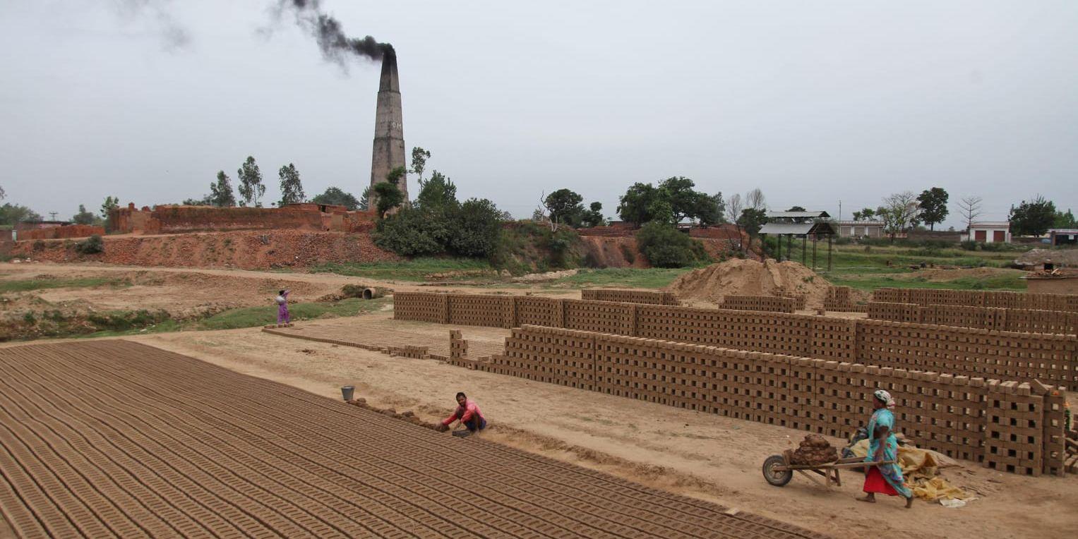 Miljöföroreningar dödar miljoner människor i världen varje år. På bilden en tegelfabrik i Indien. Arkivbild.