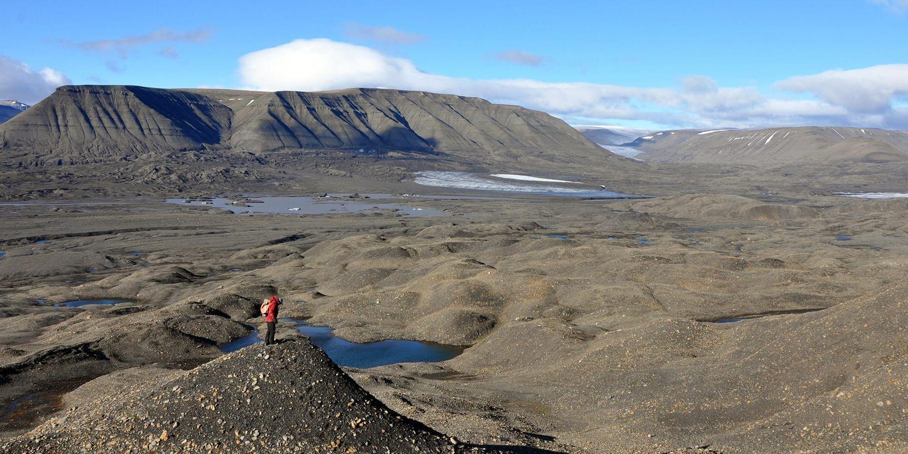 Spetsbergen på Svalbard är fossilrika. Många av fisködlorna har hittats här.