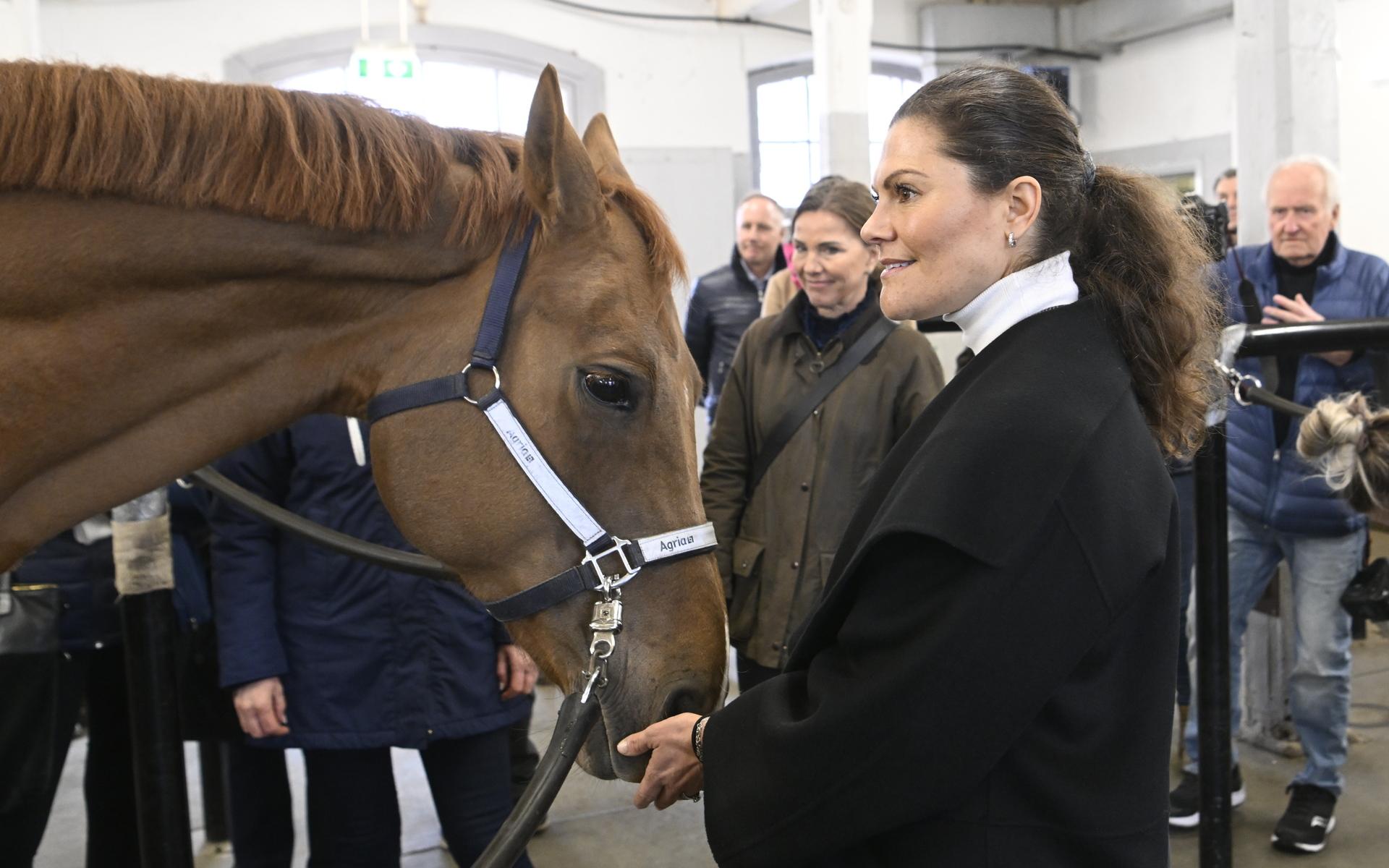 I mars besökte kronprinsessan Ridskolan Strömsholm, Svenska Ridsportförbundets utbildningsanläggning i Strömsholm. 
