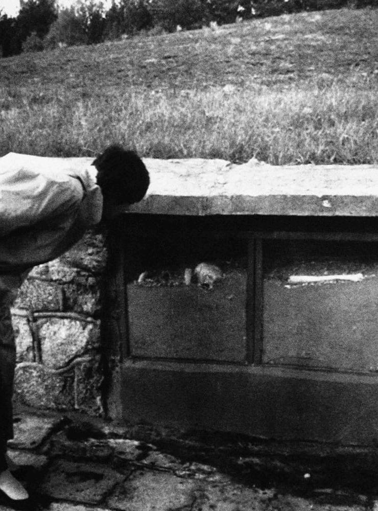 I november 1987 tittar en besökare på förintelselägret in i en av gasugnarna där det ligger ben och aska. Bild: TT