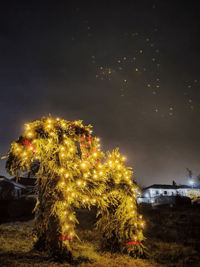 ”Julbocken lyser upp och sätter guldkant på tillvaron vid staen i Uddevalla ✨🌲🎅🏽”