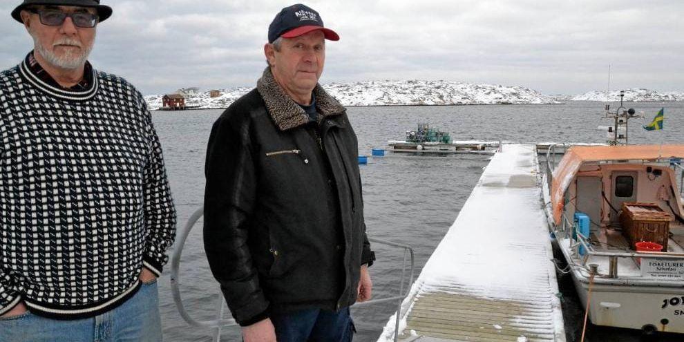 Bo Hansson driver Smögens fisketurism. Nils R. Olsson driver Nisses båt och motor. De har tillsammans investerat drygt 300 000 kronor i en pontonflytbrygga. (arkivbild)