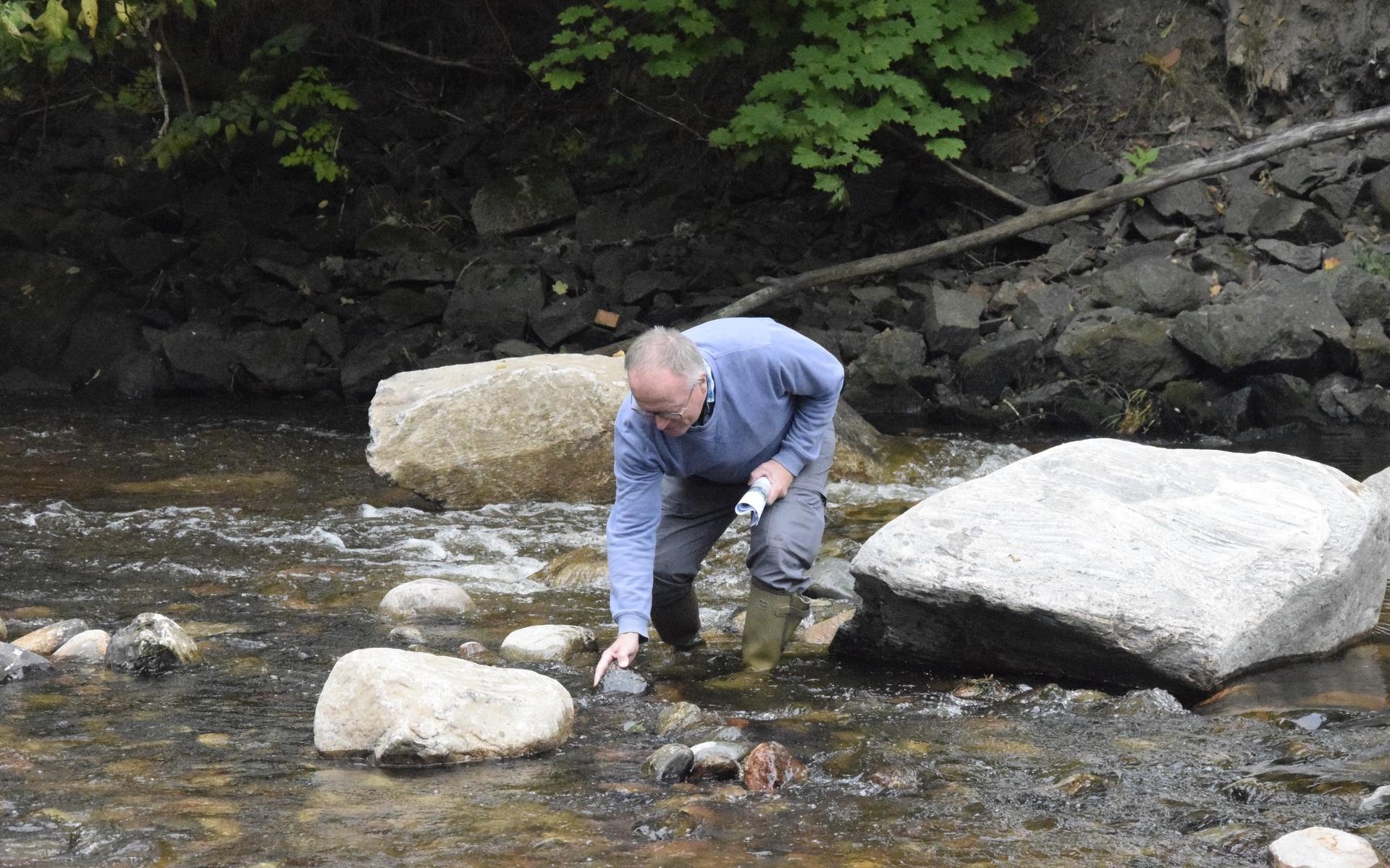 Här lägger miljökonsult Lars Thorsson en av de stenar som ligger på botten av Munkedalsälven.