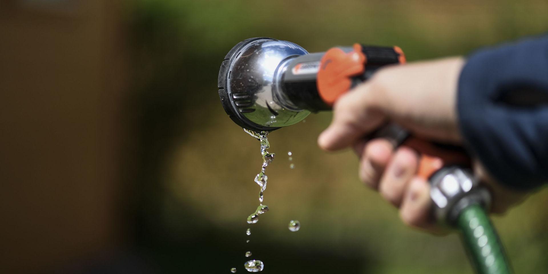 Flera kommuner har infört bevattningsförbud i april och maj. 