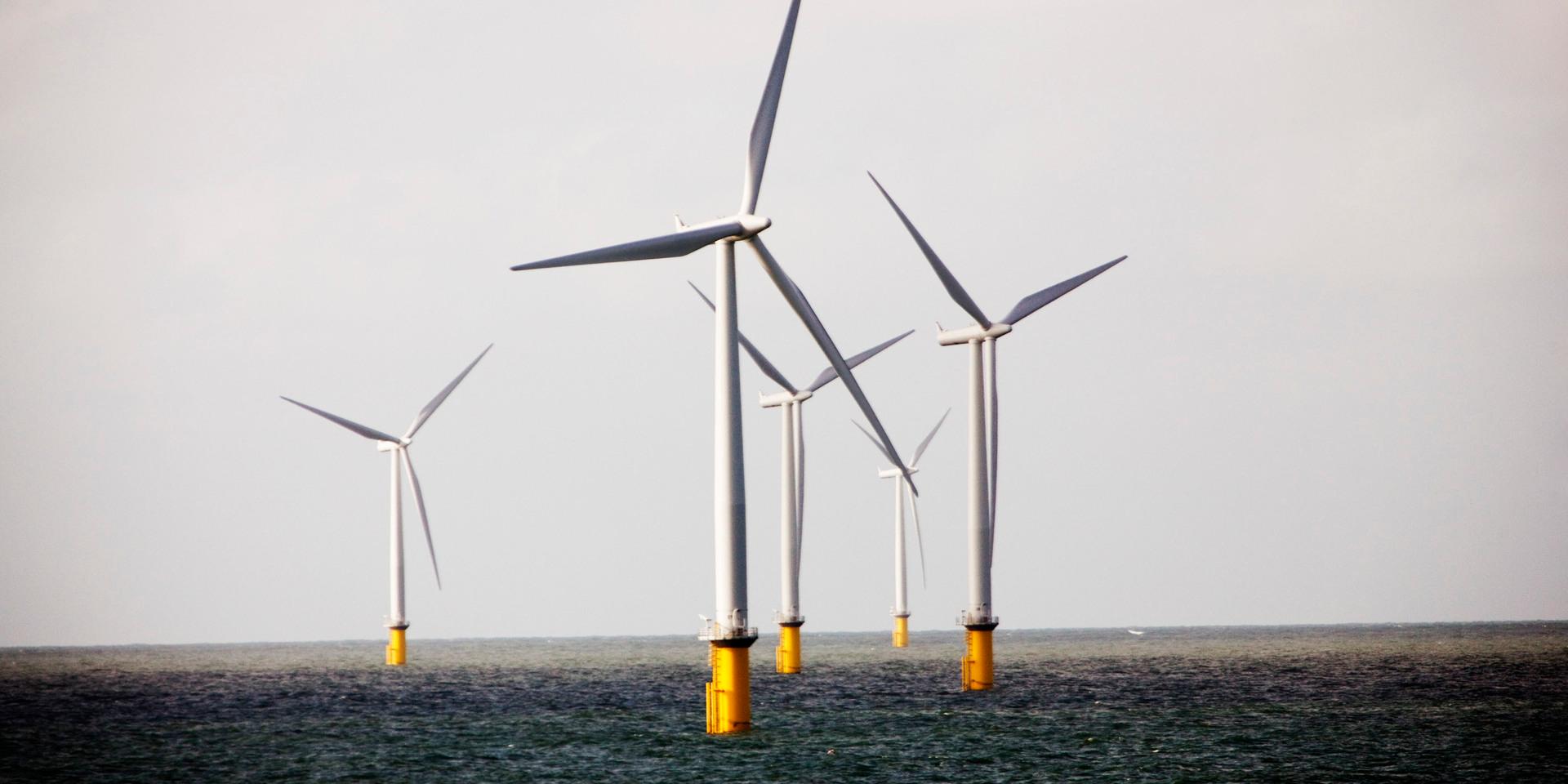 Some of the wind turbines which make up part of one of the world world's biggest offshore wind farm operated by Dong Enegry is seen in the North Sea, 19 miles (30 kilometers) west of Denmark's Jutland peninsula, Thursday, Sept. 17, 2009.  Denmark's Crown Prince Frederik, flipped a switch Thursday to start 91 wind turbines in the North Sea,which operator Dong Energy says has a production capacity of 209 megawatts, enough to power 200,000 homes.  Denmark, a pioneer in wind energy, has six other offshore wind farms.