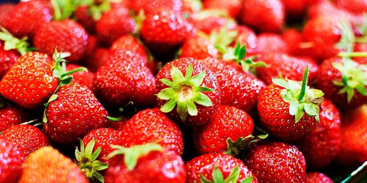 Besprutade. Debattören anser att jordgubbar odlas med för mycket växtgifter.