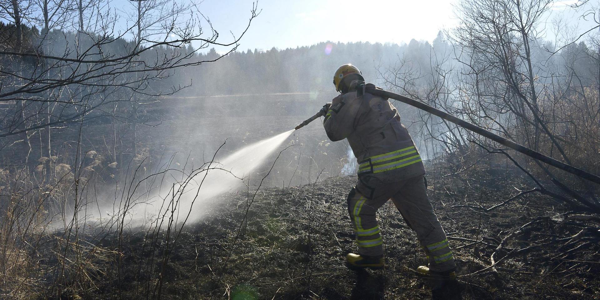 Räddningstjänsten fick släcka en gräsbrand norr om Högsäter. Arkivbild, tagen vid annat tillfälle.