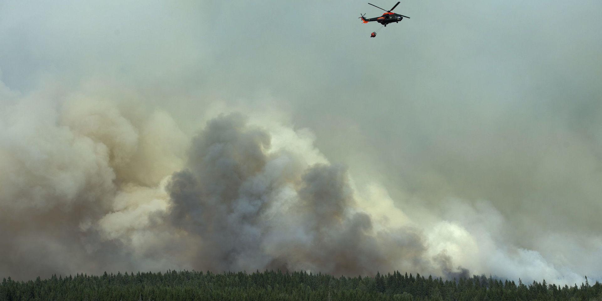 Mer än 14 000 hektar skog brann ned för fem år sedan. Nu döms ett företag till företagsböter på 2,5 miljoner kronor för att ha orsakat branden. Arkivbild.