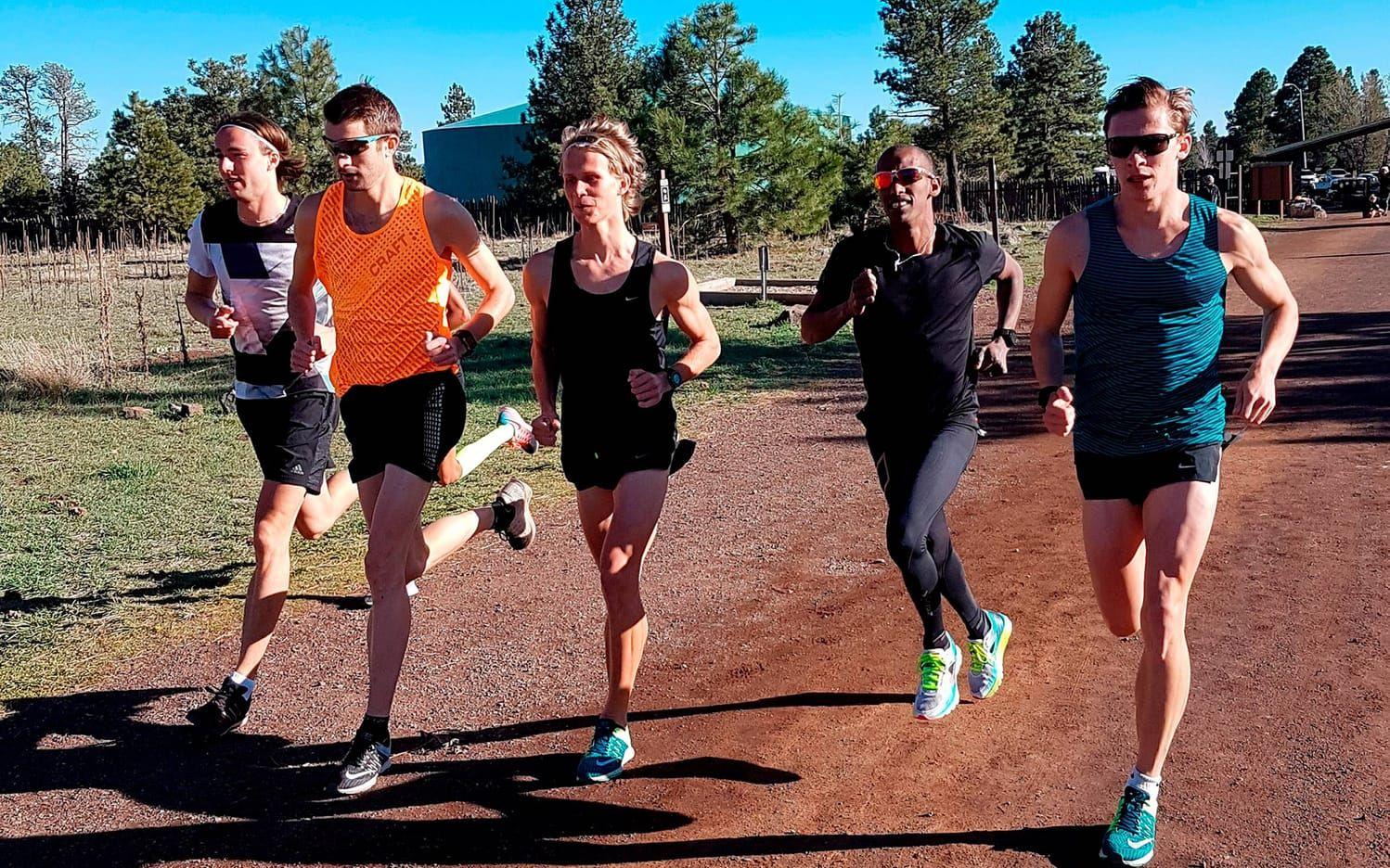 Flera svenska löpare befinner sig just nu i Flagstaff.