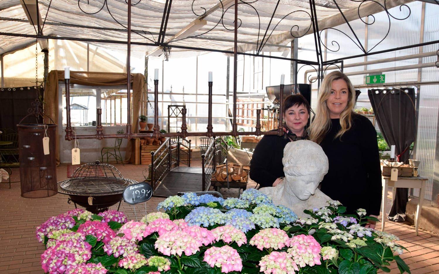 Handelsträdgårdens nya ägare Sofia Dannestam och Mia Björk Nilsson har många olika idéer när det gäller att utveckla Orust blommor.