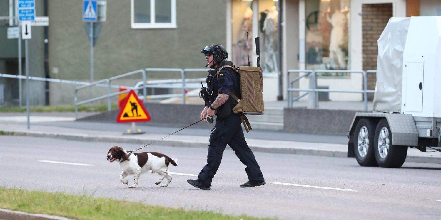 Polisens bombtekniker undersöker det misstänkta föremålet och söker runt i närområdet, bland annat med hund.