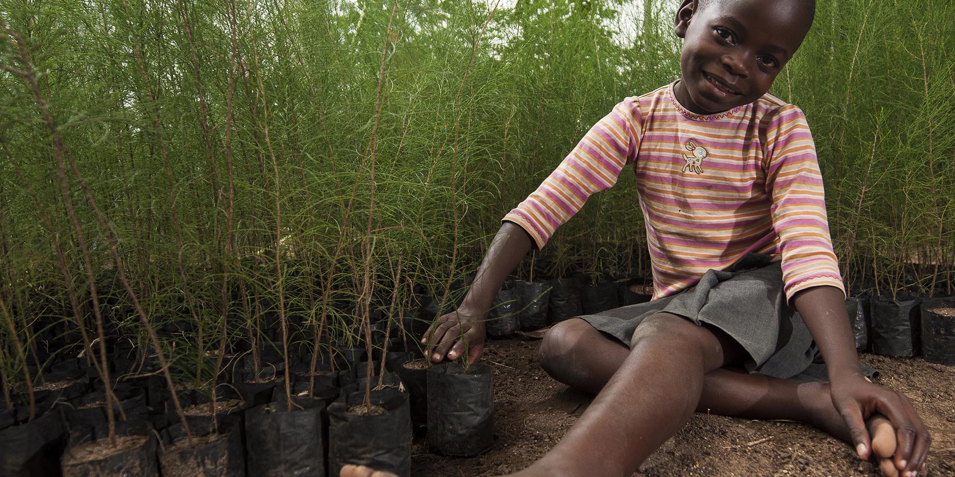Mishell Achieng i Kenya hjälper sin farfar Maurice Odhiambo med planteringen av träd. Träden de planterar kan sedan hjälpa till att stå emot kraftiga skyfall, ge skugga mot den starka solen och rötterna binder kväve som tillför näring till jorden.