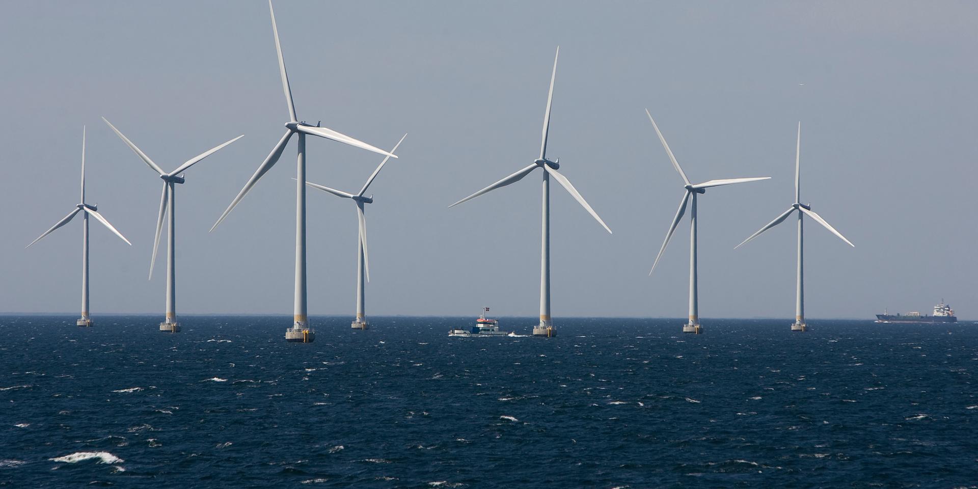 Lillgrund i Öresund, som togs i drift 2007 och ägs av Vattenfall, är den största vindkraftparken hittills på svenskt vatten.
