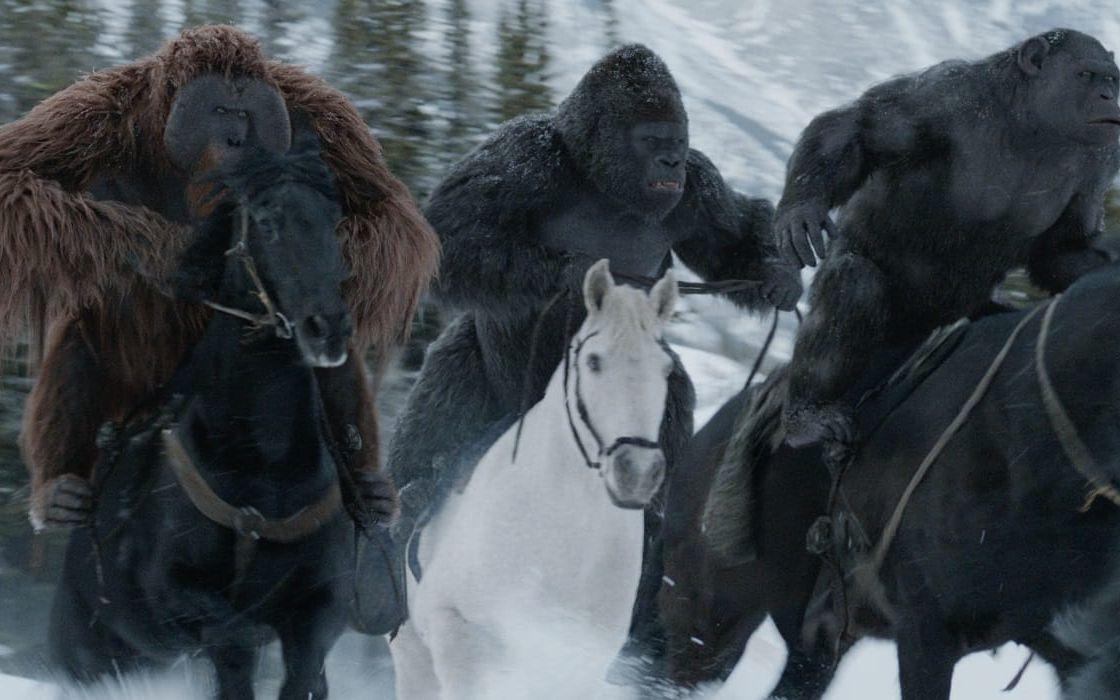 War for the Planet of the Apes har premiär 14 juli 2017. Bild: 20th Century Fox