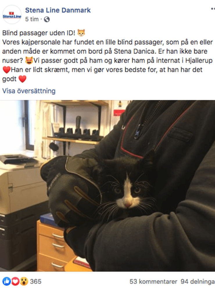Stena Line Danmark la ut en efterlysning på sin Facebooksida i hopp om att hitta kattens ägare.