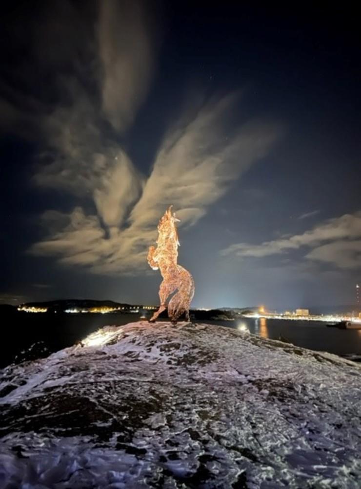 ”Bilden tagen den 4 december 2021 Skeppsviken Uddevalla, motiv Syrian Horse. Fotot fångar styrkan och kraften i den vackra hästen som reser sig mot det svarta vattnet”