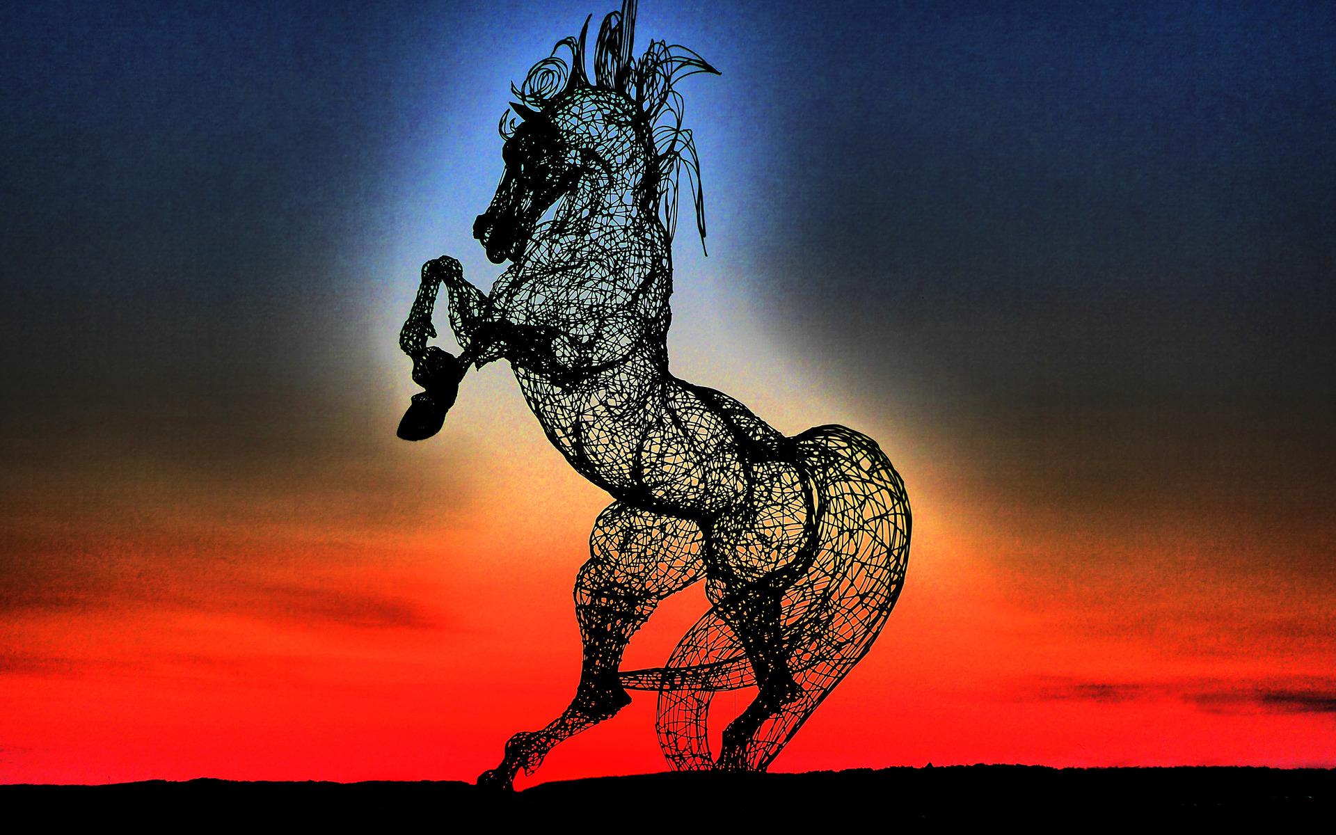 ”Solnedgång. Det är många som fotar hästen. Jag tycker att min bild sticker ut, med dom fina färgerna.Blir själv glad när jag ser Syrian Horse.”