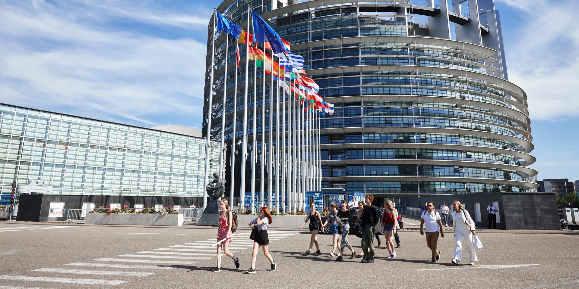 Europaparlamentet i Strasbourg
. 