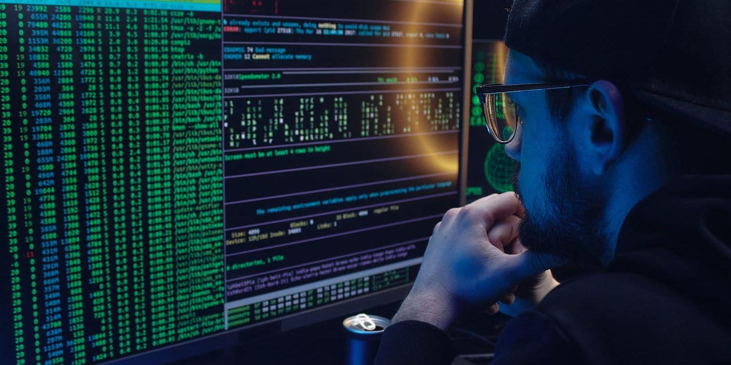 Cyberhot. Belastningsattacker har lett till att hemsidor för svenska myndigheter och företag legat nere, och ryska hackare tros ligga bakom.
